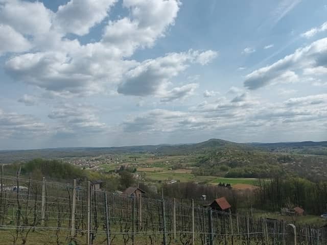 Vinogradi Vinica - Image 1
