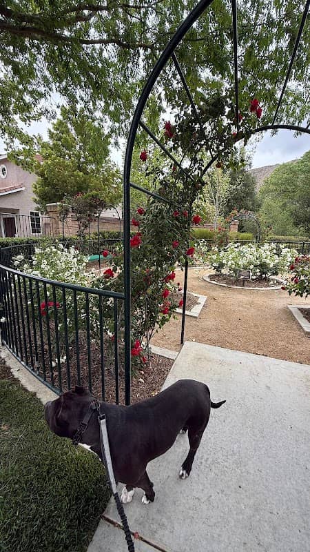 Canyon Hills HOA Rose Garden - Image 1