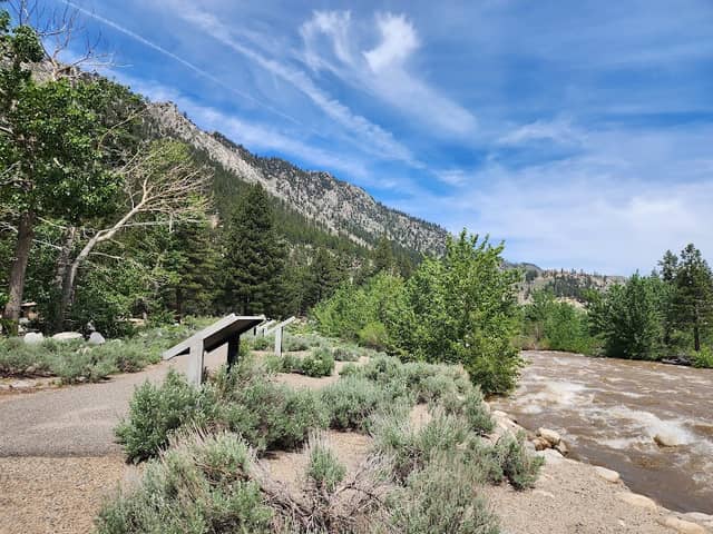 Shingle Mill Flat Picnic Area - Image 2