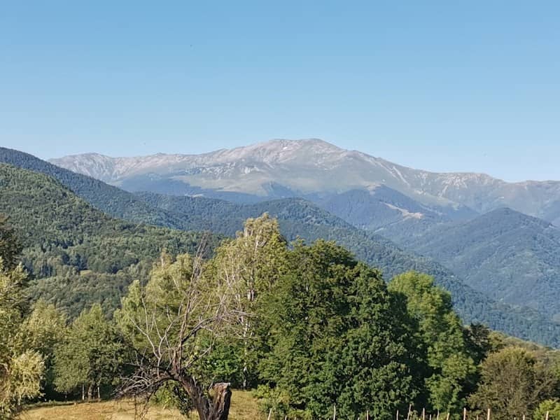 Perla Runcului - Image 1