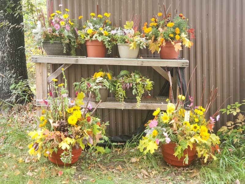 Range Flower Farm - Image 2