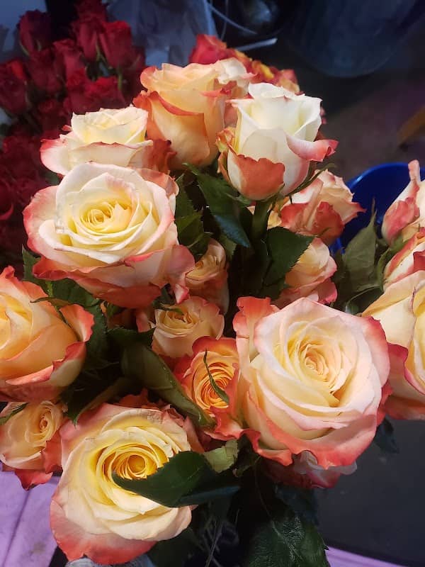 Range Flower Farm - Image 1