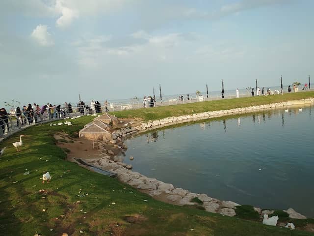 Duck Lake - Image 1