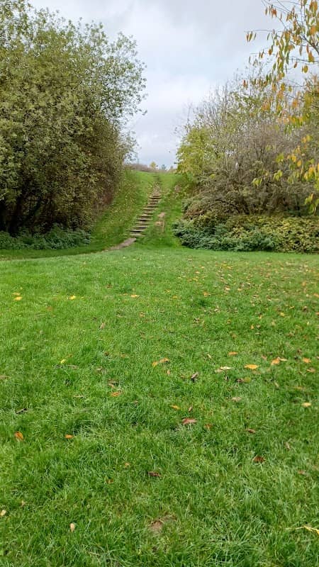 Spring Meadow - Image 2