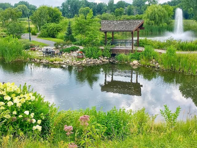 Millennium Garden - Image 2