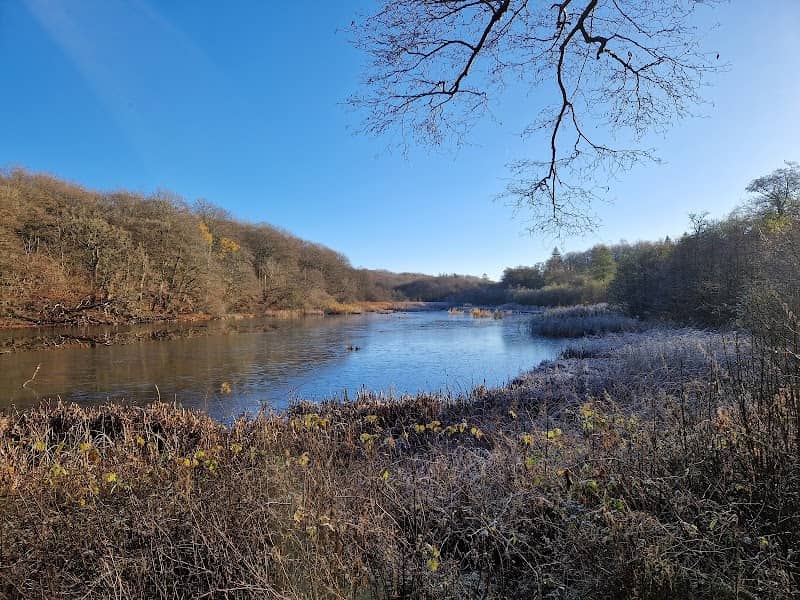 Fussingø National Park - Image 1