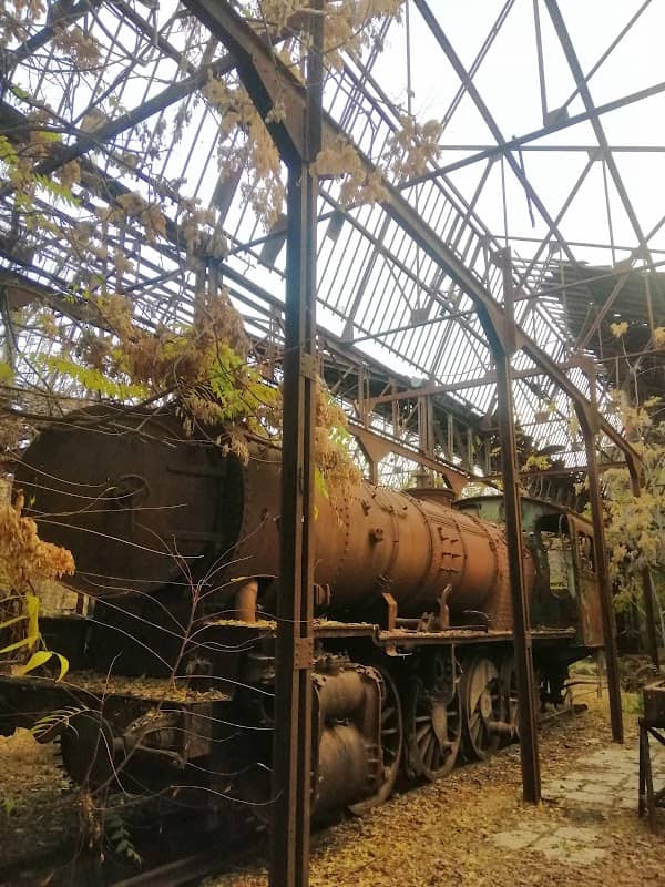 Rayak Train Station - Image 1