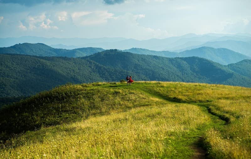 Max Patch - Image 1