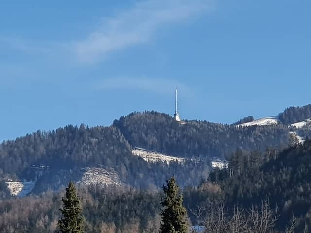 Hundezone Leoben - Image 2