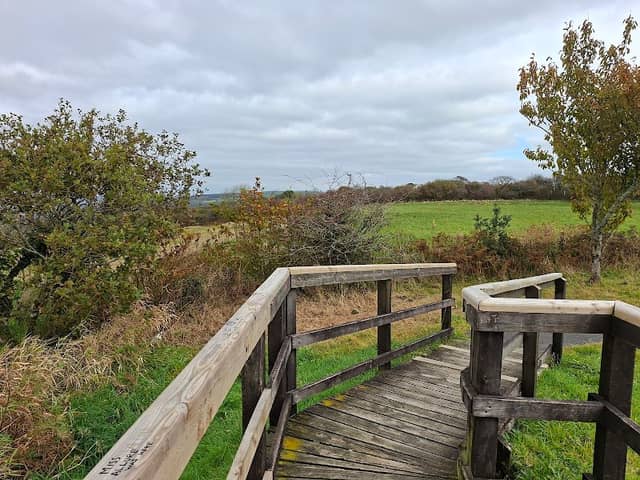 Pembrey Mountain Viewpoint - Image 2