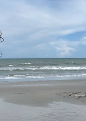Isle of Palms Beach Access 15 - Image 1