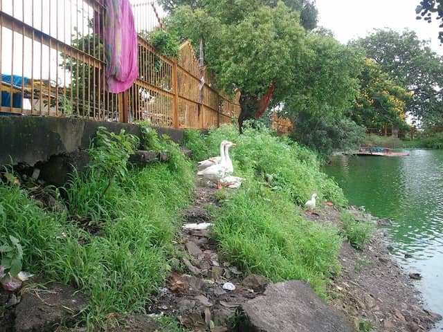 Bijasan Mata temple Lake View Point - Image 2