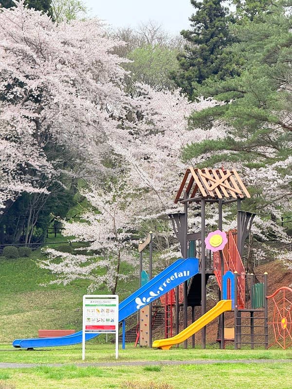 Misawa Park - Image 1