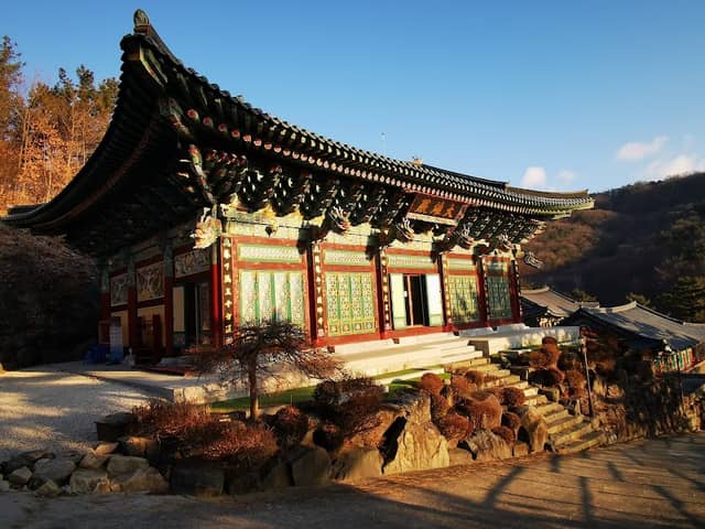 Musangsa - Image 1
