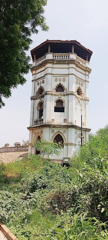 Viewing Gallery - Image 1