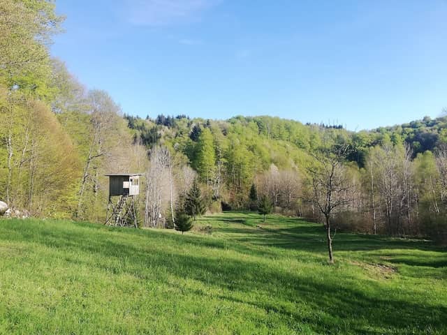Pogana Jama - Image 2