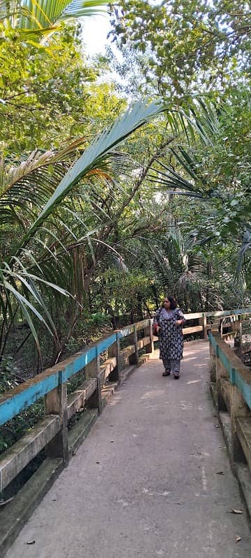Taki Mini Sundarban - Image 1