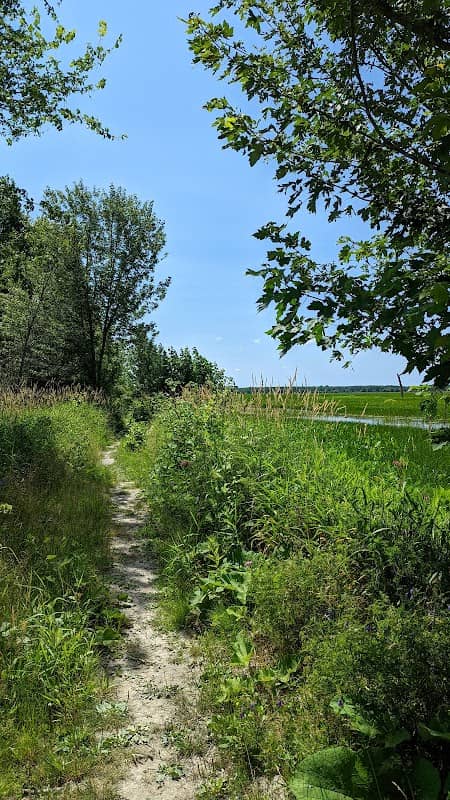Marais des Laiches - Image 3