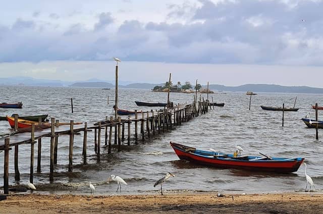 Praia do Limão - Image 1