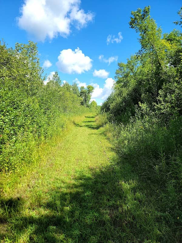 Sawmill Creek Preserve - Image 2
