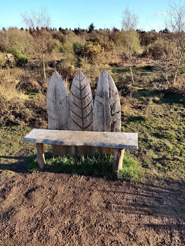 Stoke Common (East) - Image 2