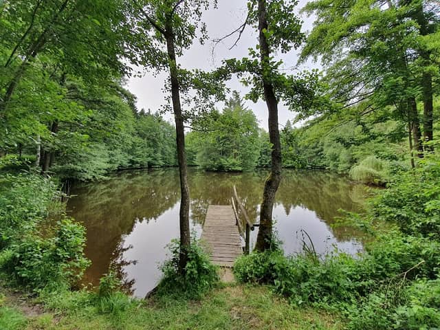 Hausee - Image 1