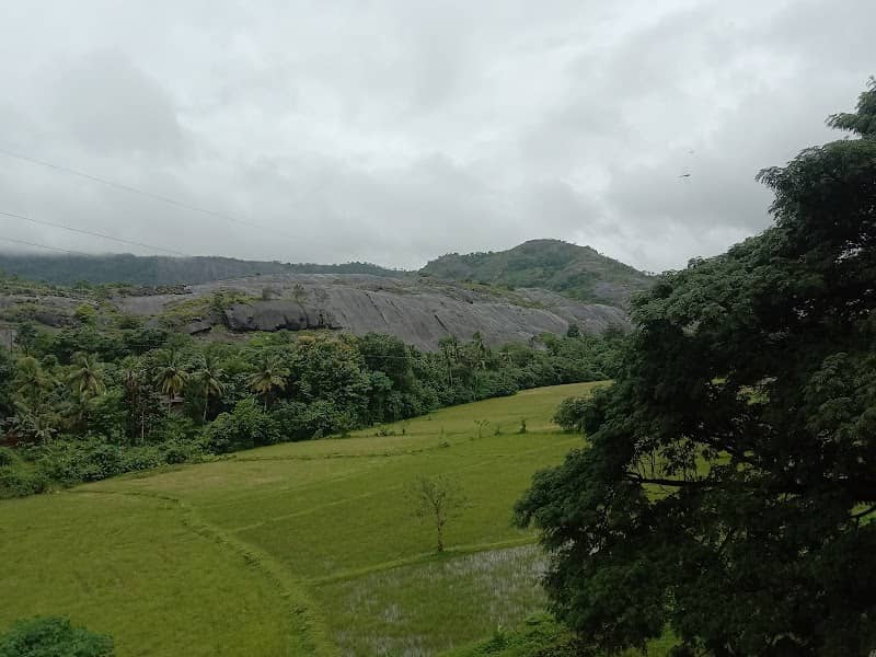 Aqueduct Bridge Kariyamutty - Image 2