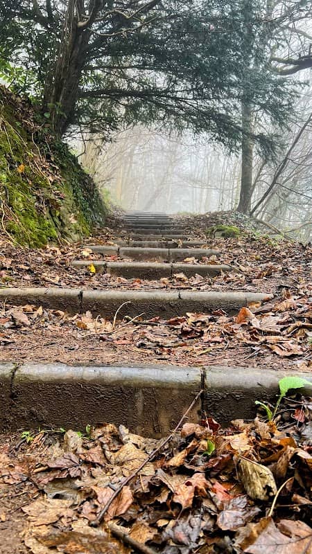 Pixie Steps - Image 1