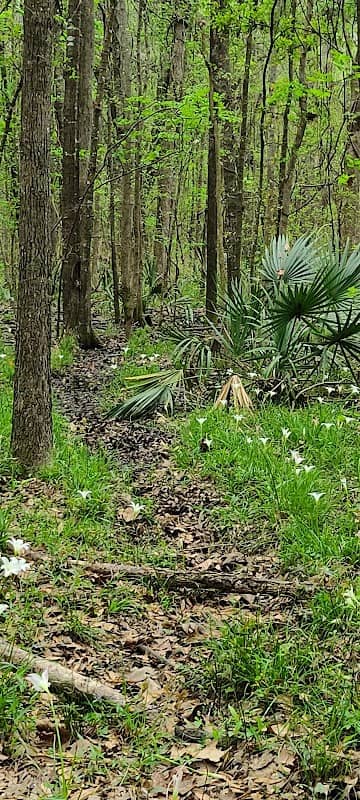 Sterling Creek Park - Image 2