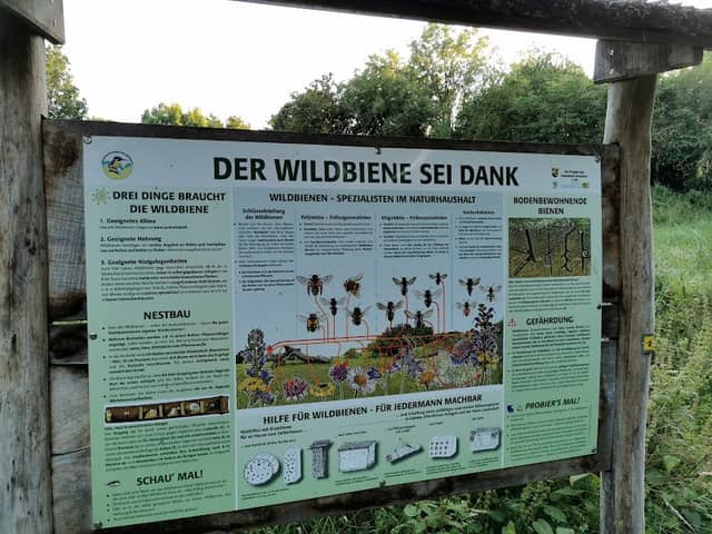 Naturerfahrungsraum am Goldbach - Image 1