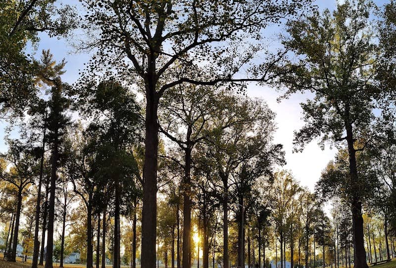 Landis Park - Image 3