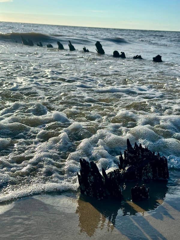 Schiffsfrack bei Ebbe - Image 1