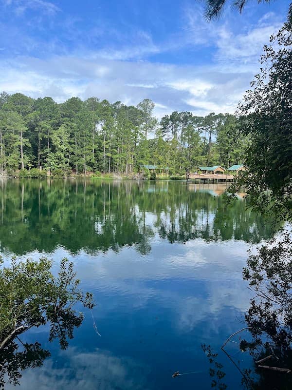 Pine Trace Park - Image 1