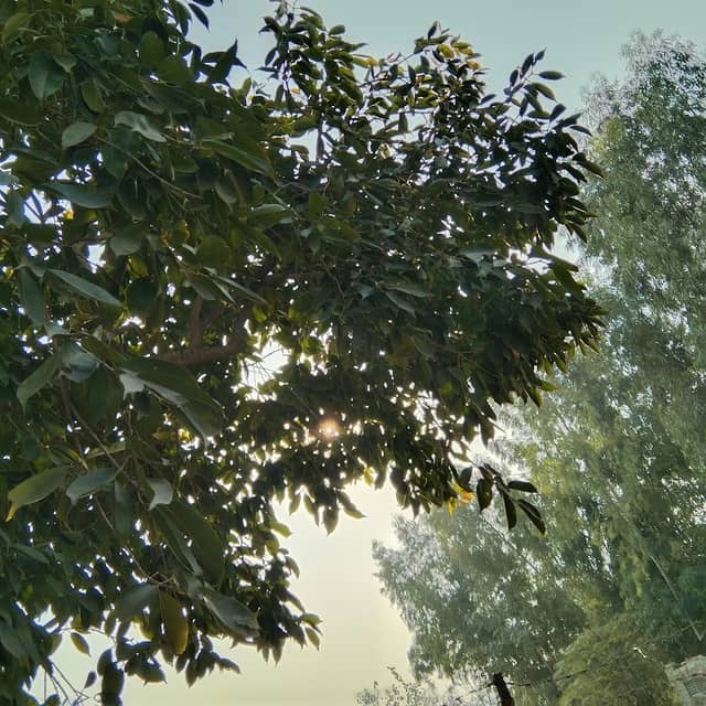 Gulberg Colony Park - Image 2