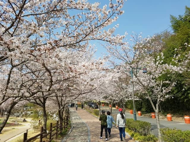 선암호수공원 - Image 1