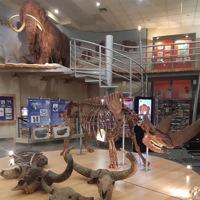 Mammoth Museum - Image 1
