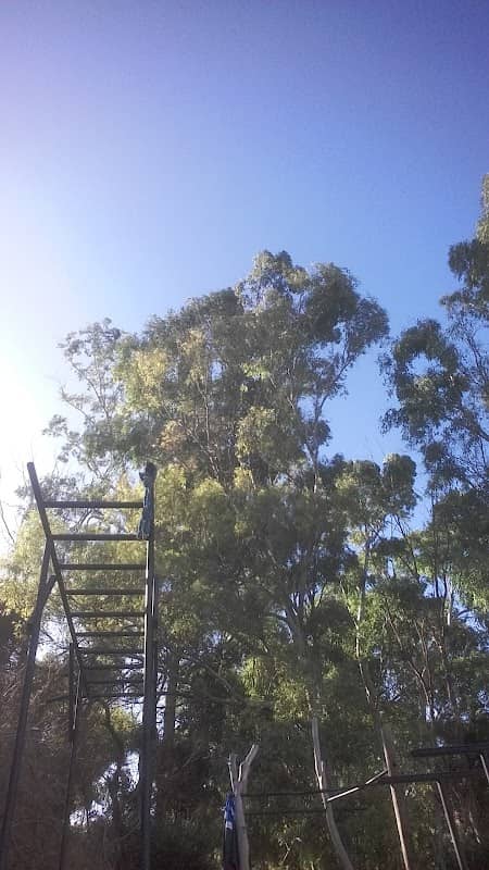 Calisthenics Park - Image 1