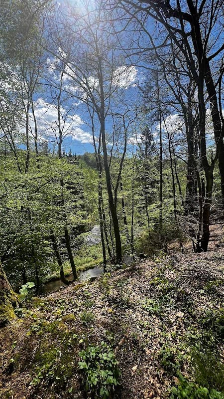 Eine Eschbach Quelle - Image 1