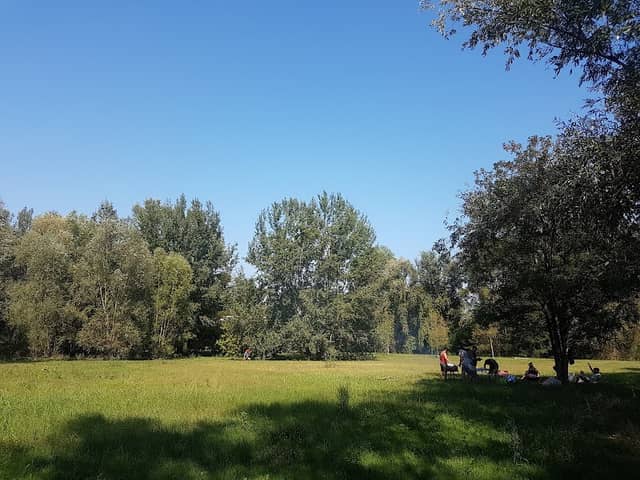 Parco Fluviale Di Cannuzzo - Image 1