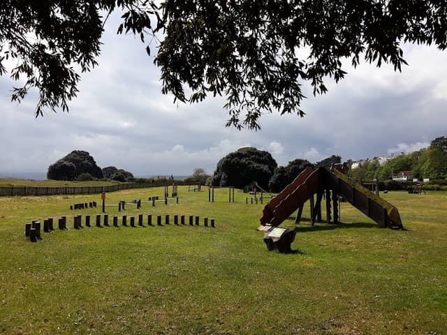 The Maer - Image 1