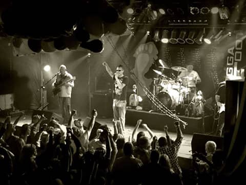 The Buc - Image 1