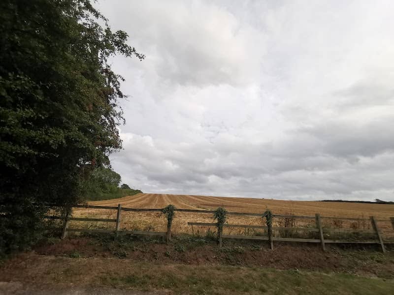 Lambley Millennium Oak - Image 1