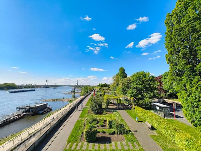 Aussicht auf den Rhein - Image 1