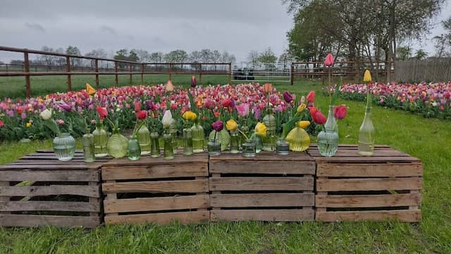 Das kleine Blumenparadies - Image 1