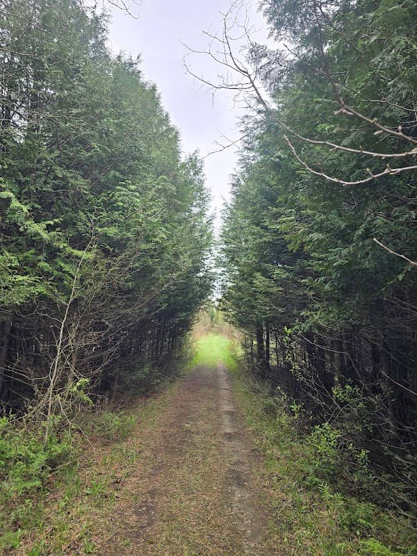 Fleming Tract - Image 1