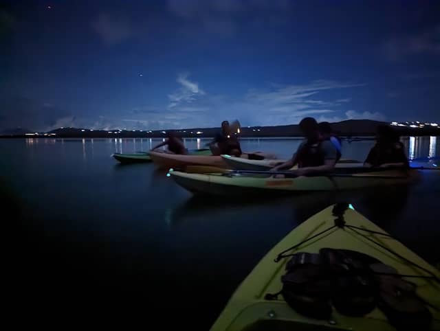 Puerto Mosquito Bioluminescent Bay - Image 2