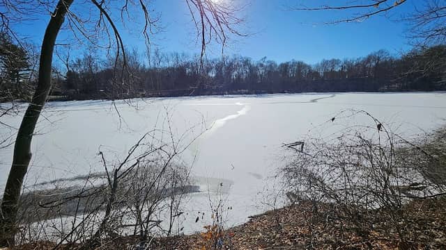 Pinhook Park - Image 2