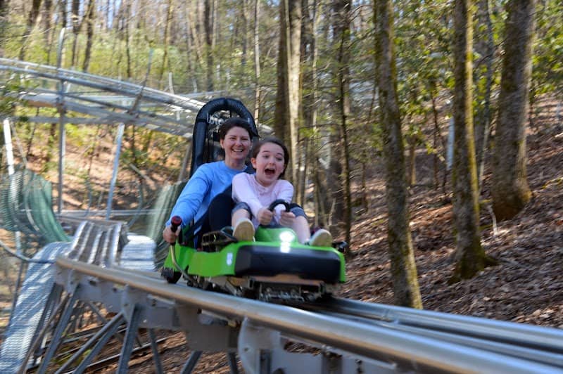 Georgia Mountain Coaster - Image 1