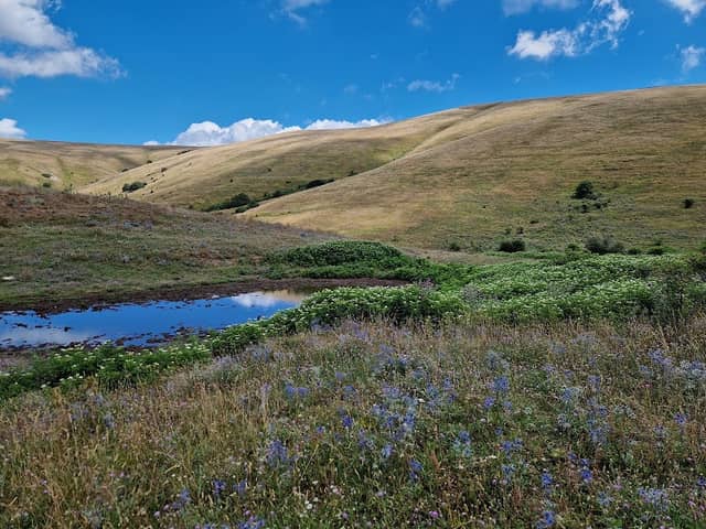 Croce di Sassopiano - Image 2