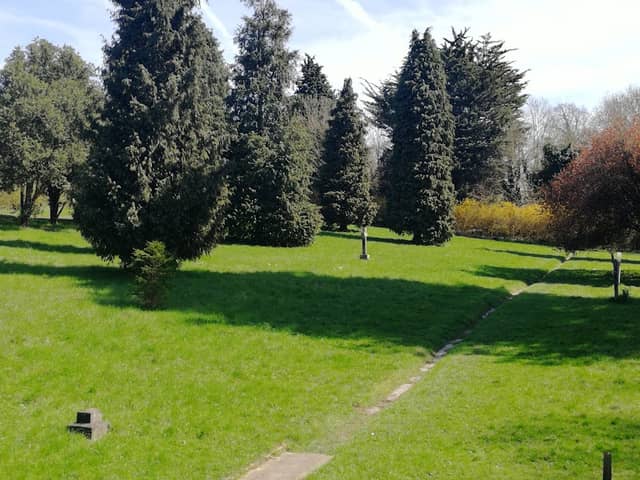 Darenth Country Park - Image 2